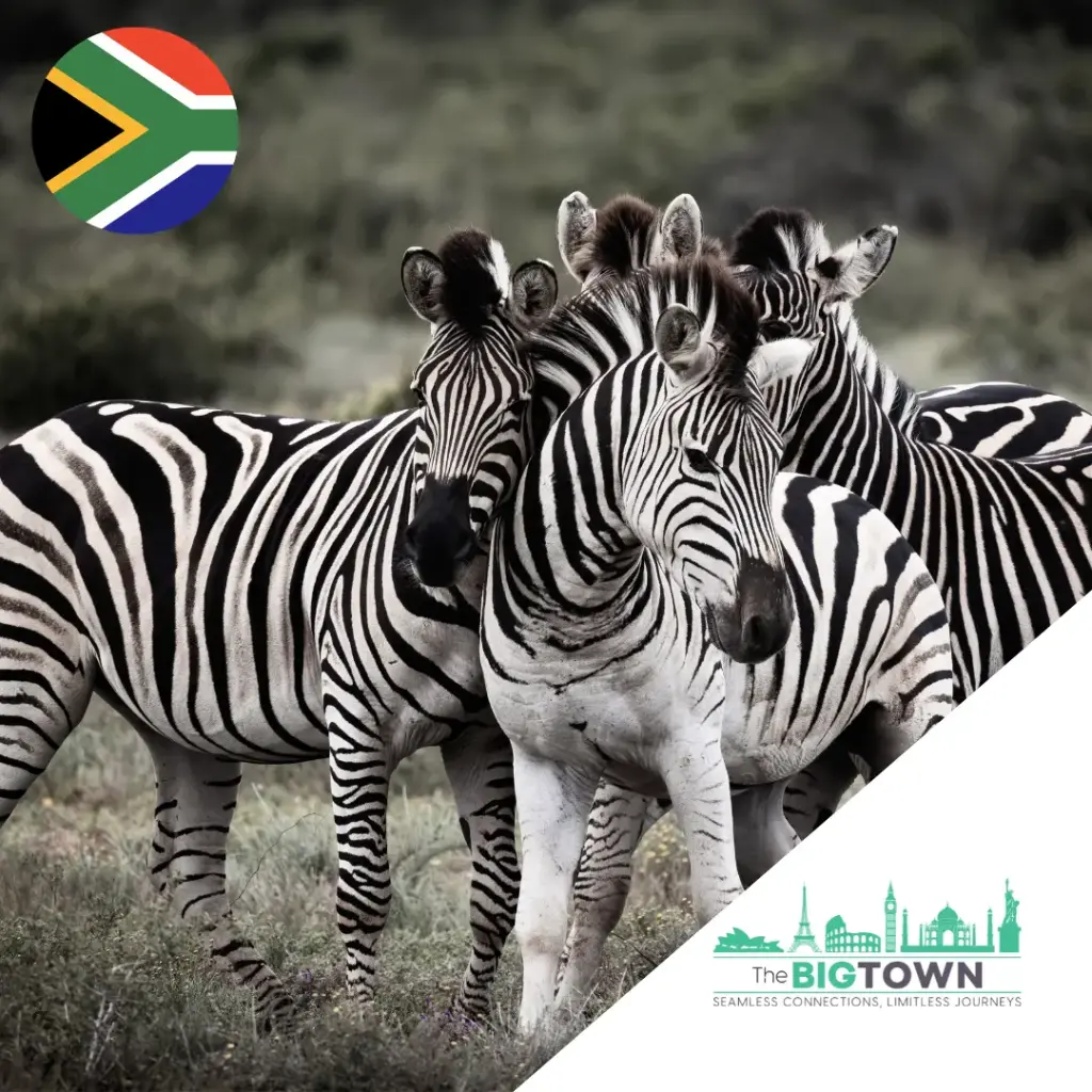 eSIM de données pour l’Afrique du Sud