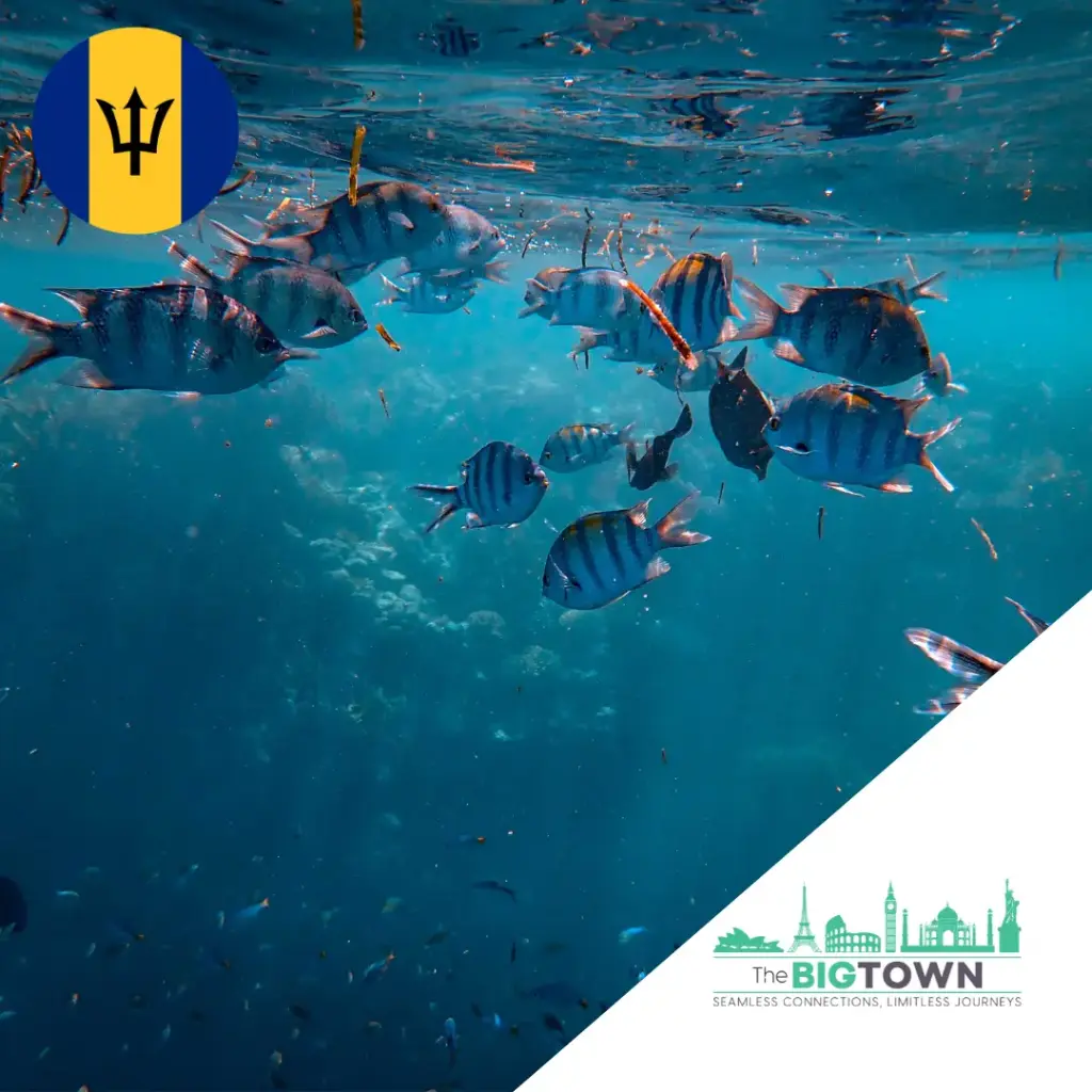 Data eSIM for Barbados