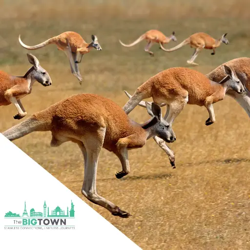 eSIM données pour l’Océanie (Australie, Nouvelle-Zélande, îles Fidji)