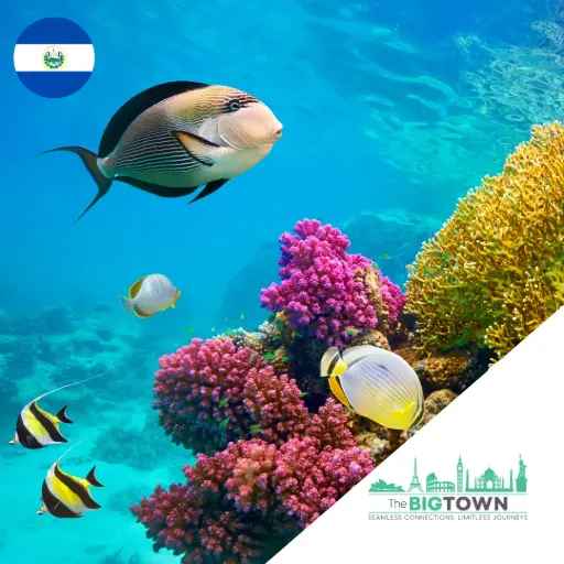 eSIM de datos para Sharm el-Sheikh