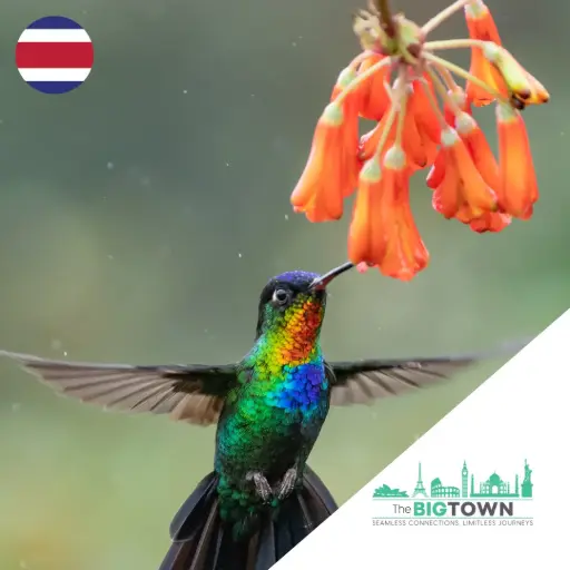 eSIM dati per il Costa Rica  