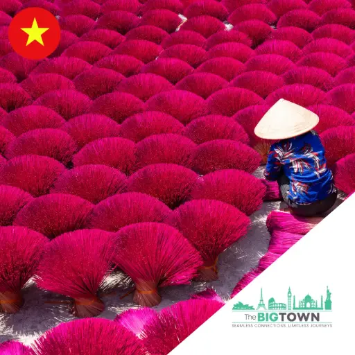 eSIM de données pour le Vietnam