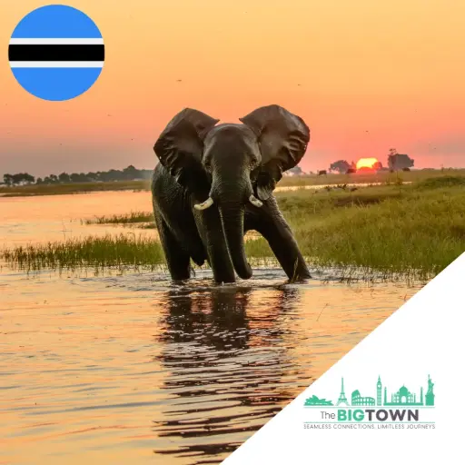eSIM de données pour le Botswana