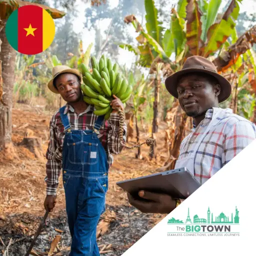 eSIM dati per il Camerun