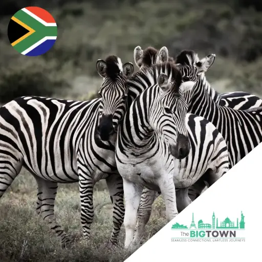 eSIM de données pour l’Afrique du Sud