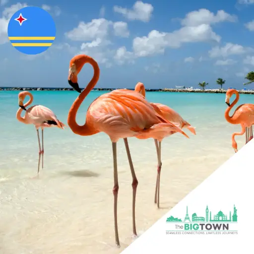 eSIM de données pour Aruba