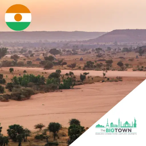 eSIM de données pour le Niger